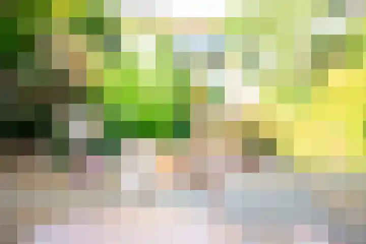 Faisantenstraat 3 Hilversum thumbnail 37