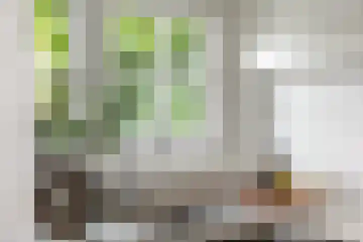 Faisantenstraat 38 Hilversum thumbnail 11