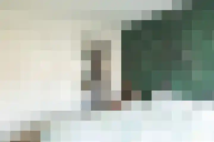 Faisantenstraat 46 Hilversum thumbnail 18