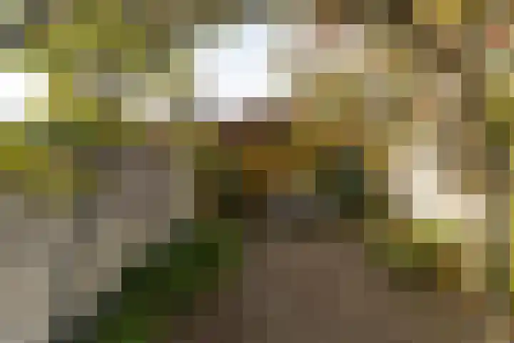 Faisantenstraat 46 Hilversum thumbnail 32