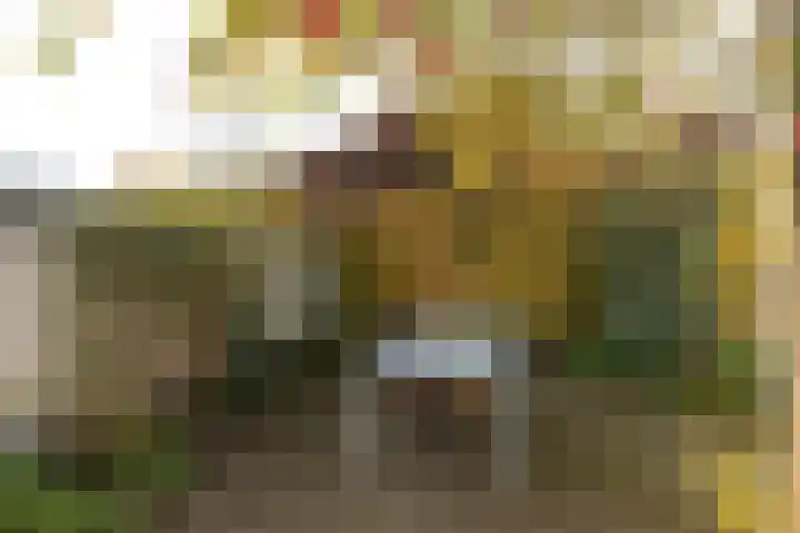 Faisantenstraat 46 Hilversum thumbnail 33