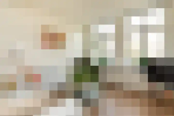 Faisantenstraat 46 Hilversum thumbnail 6