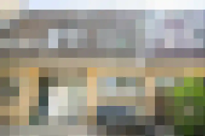 Fakkelgras 12 in Leiden