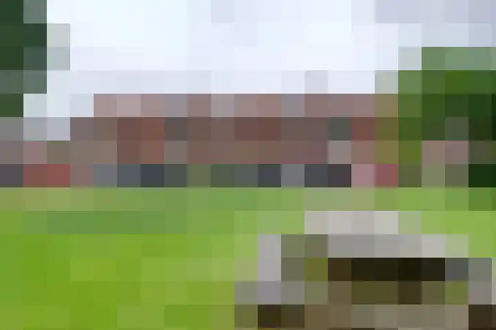Fakkelgras 12 Leiden thumbnail 10