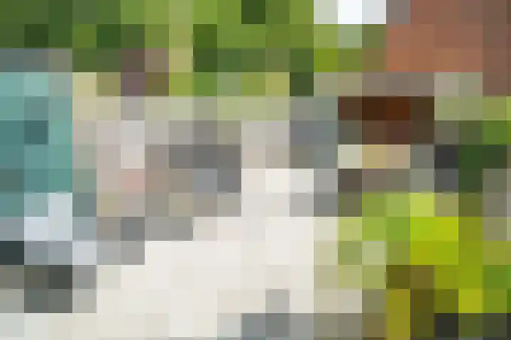 Fakkelgras 12 Leiden thumbnail 12