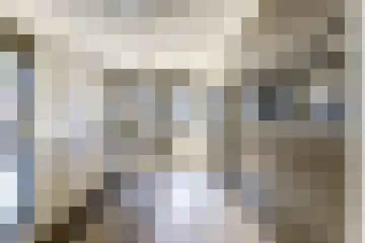 Fakkelgras 12 Leiden thumbnail 16