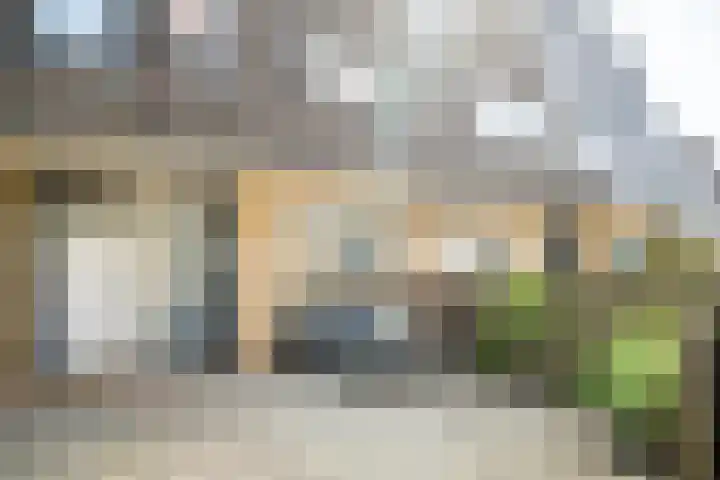 Fakkelgras 12 Leiden thumbnail 32