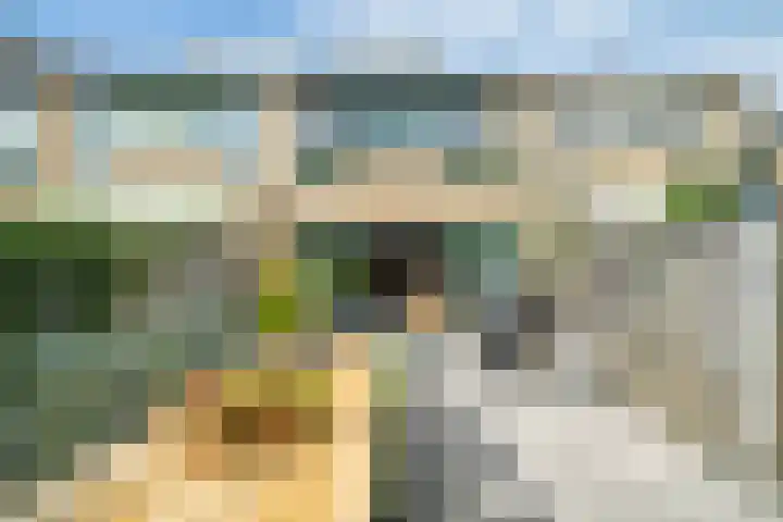Fakkelgras 12 Leiden thumbnail 4