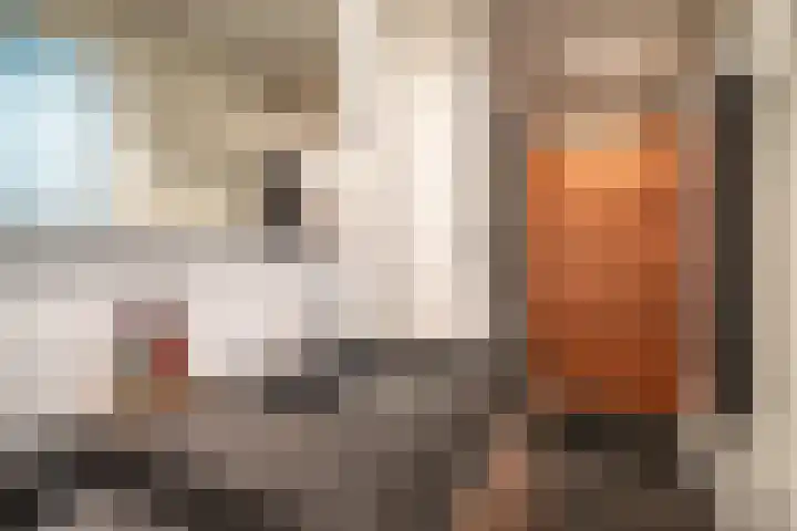 Fakkelgras 12 Leiden thumbnail 44