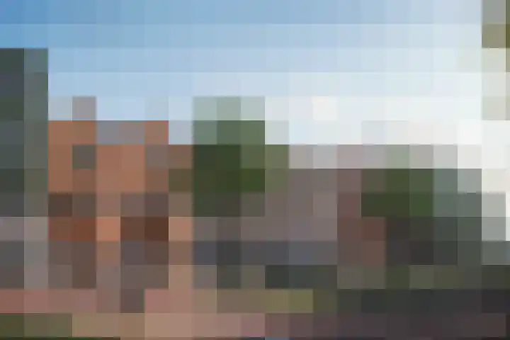 Fakkelgras 12 Leiden thumbnail 46