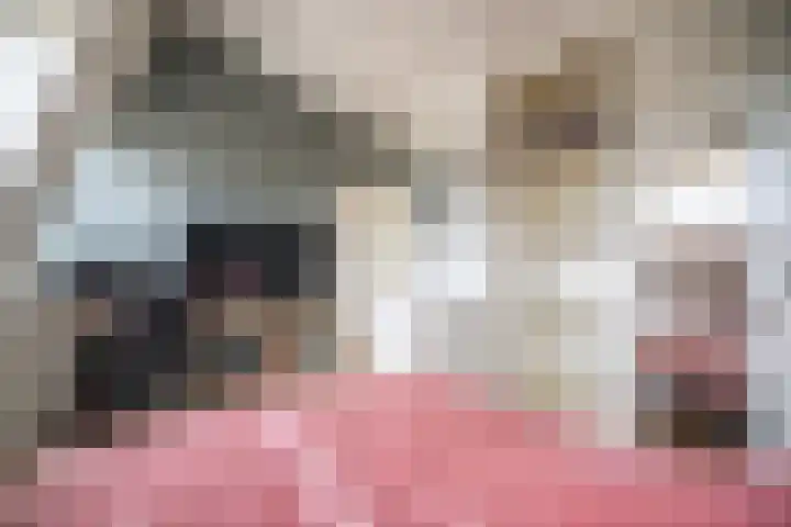 Fakkelgras 12 Leiden thumbnail 63