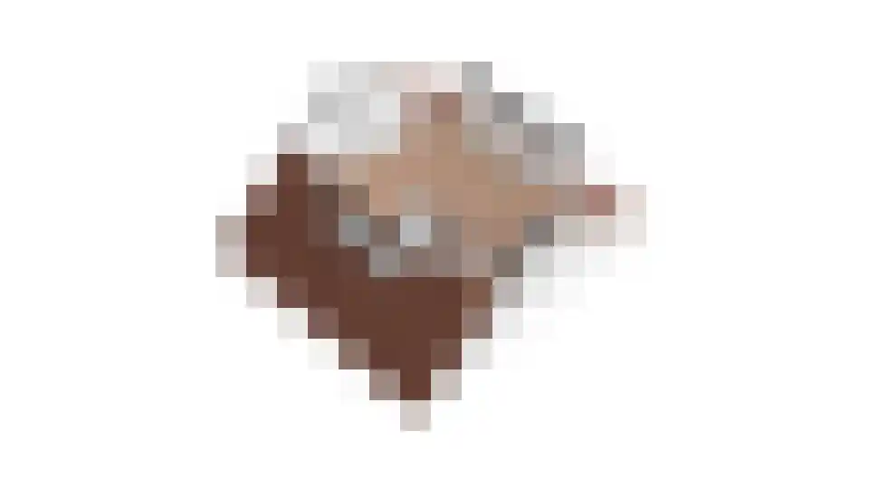 Fakkelgras 12 Leiden thumbnail 66