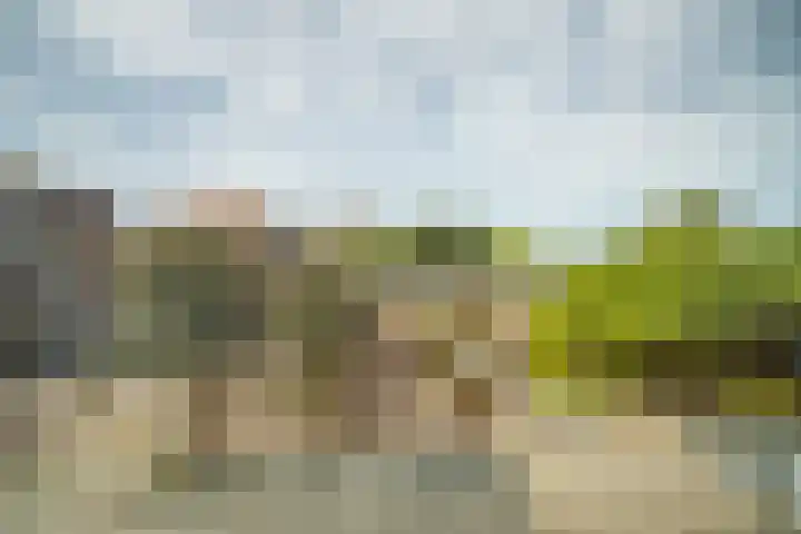 Fakkelgras 12 Leiden thumbnail 66