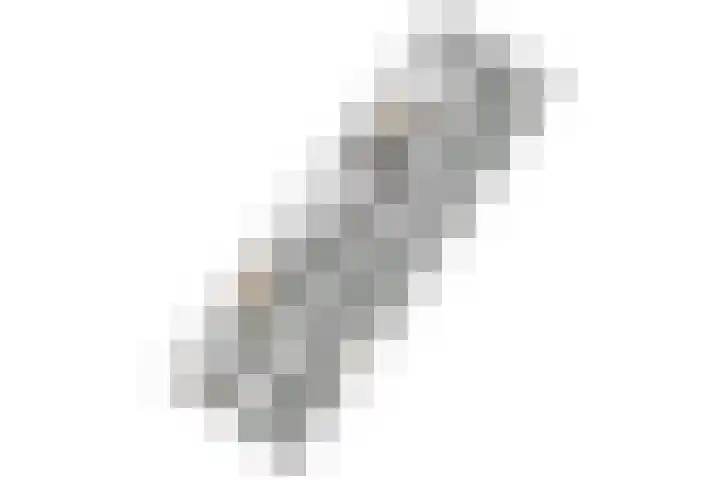 Fakkelgras 12 Leiden thumbnail 74