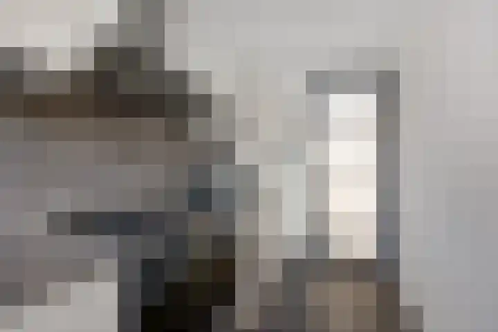 Fakkelgras 13 Leiden thumbnail 11