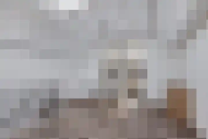 Fakkelgras 13 Leiden thumbnail 12