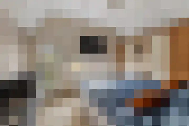 Fakkelgras 13 Leiden thumbnail 15