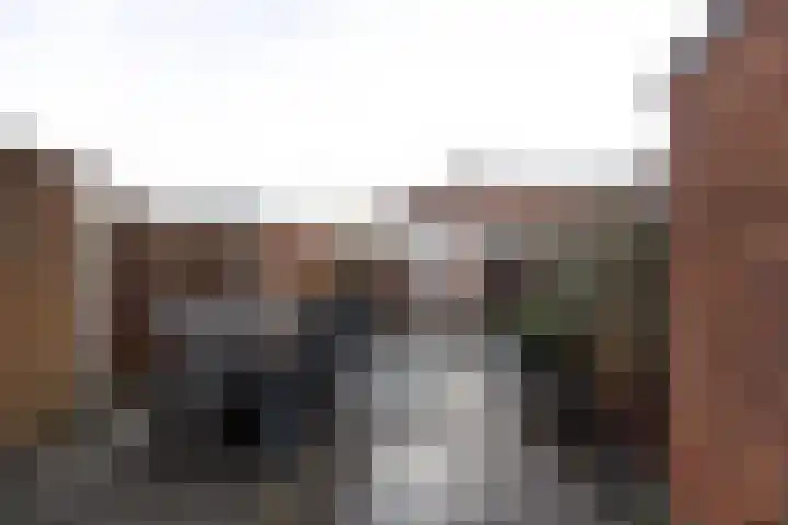 Fakkelgras 13 Leiden thumbnail 19