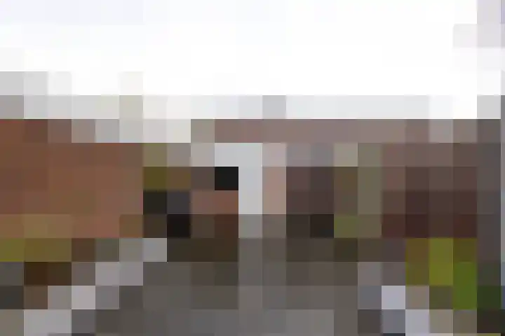 Fakkelgras 13 Leiden thumbnail 20