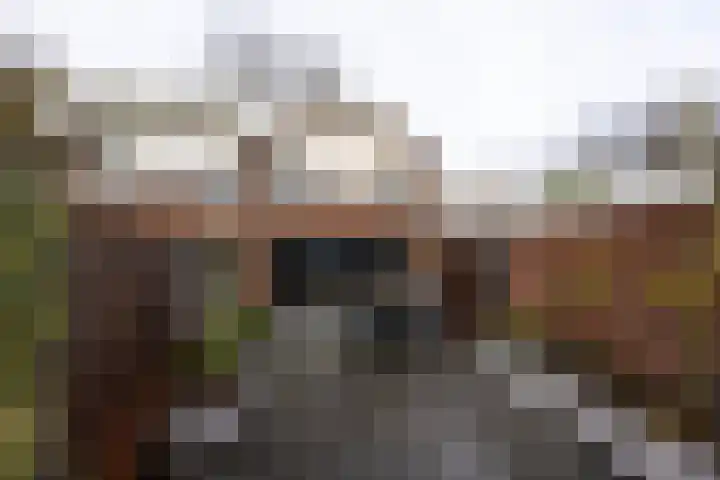 Fakkelgras 13 Leiden thumbnail 21