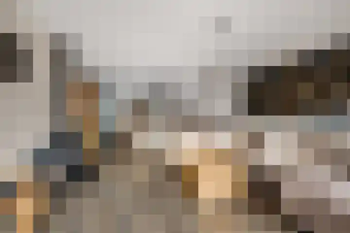 Fakkelgras 13 Leiden thumbnail 5