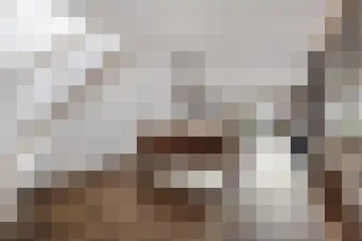 Fakkelgras 13 Leiden thumbnail 7