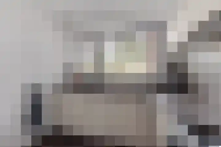 Fakkelgras 13 Leiden thumbnail 9