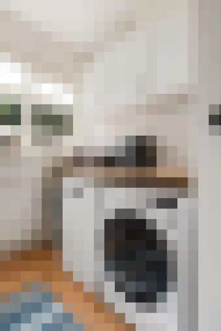 Fakkelgras 21 Leiden thumbnail 11