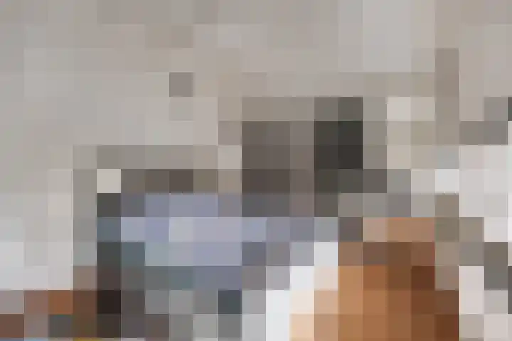 Fakkelgras 21 Leiden thumbnail 15