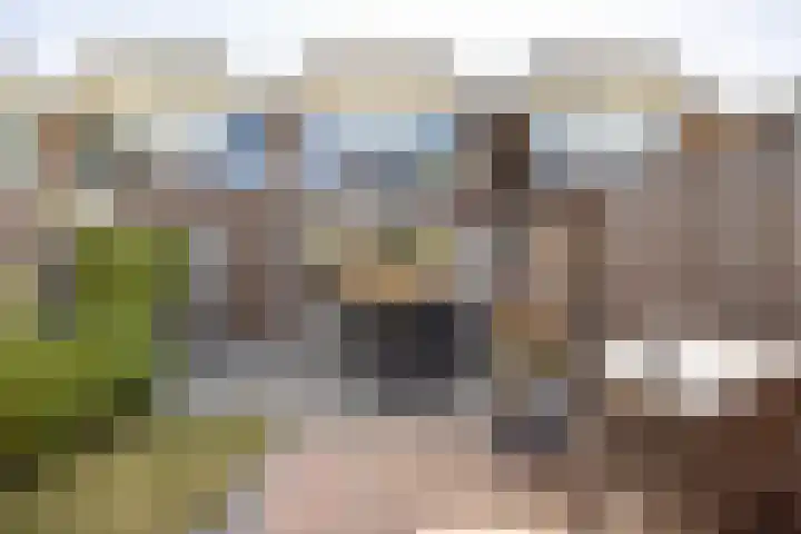 Fakkelgras 21 Leiden thumbnail 20