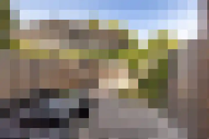 Fakkelgras 21 Leiden thumbnail 21