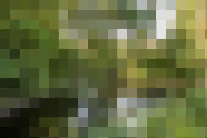 Fakkelgras 21 Leiden thumbnail 25