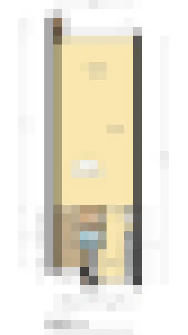 Fakkelgras 21 Leiden thumbnail 27