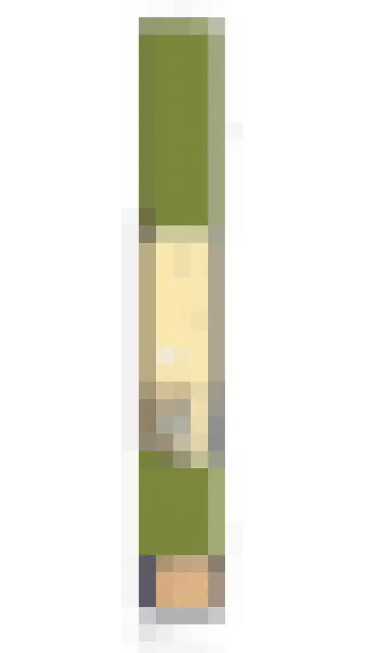 Fakkelgras 21 Leiden thumbnail 30