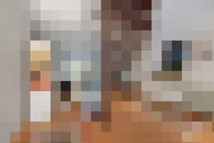 Fakkelgras 21 Leiden thumbnail 6