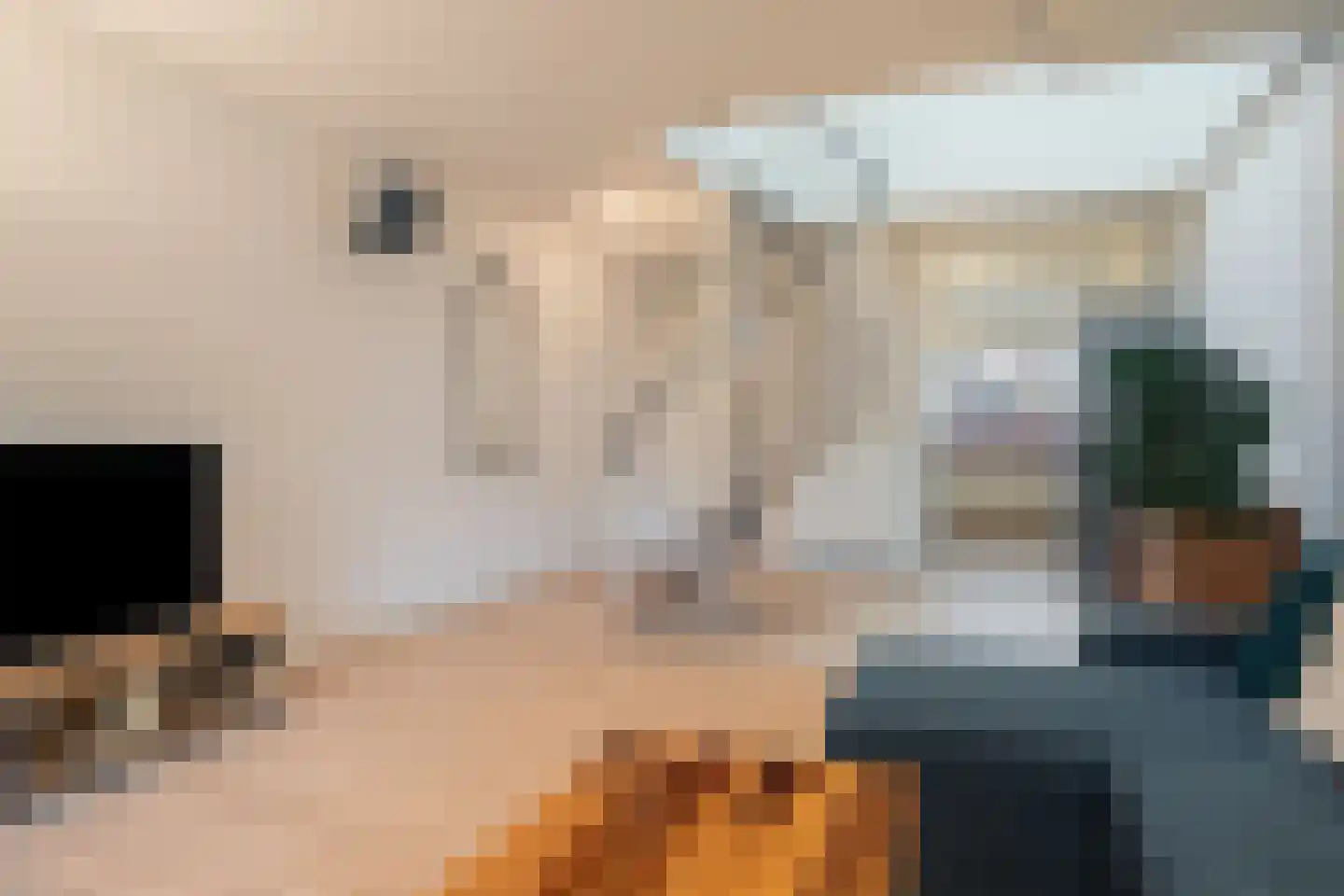 Fakkelgras 26 Leiden thumbnail 14