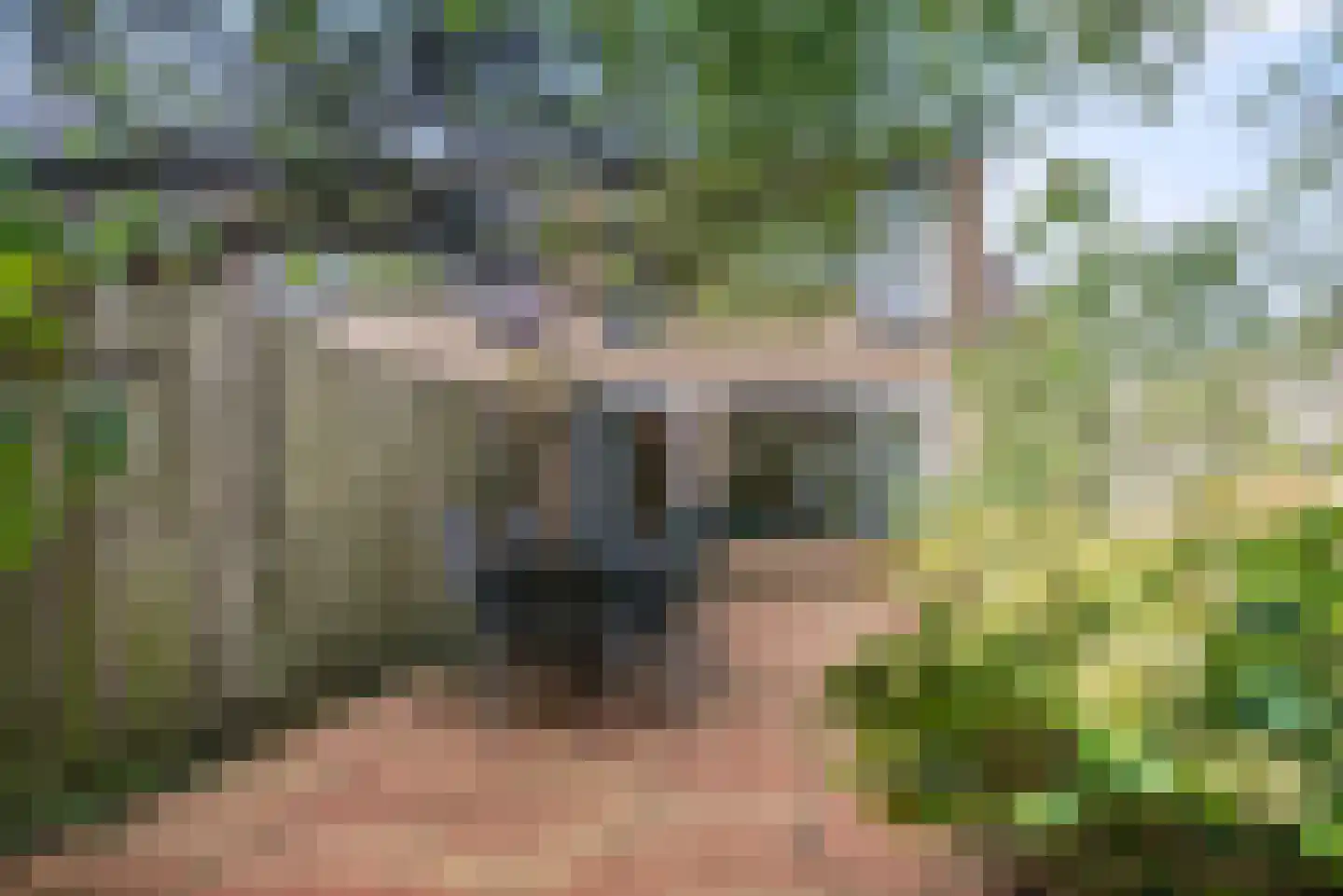 Fakkelgras 26 Leiden thumbnail 35