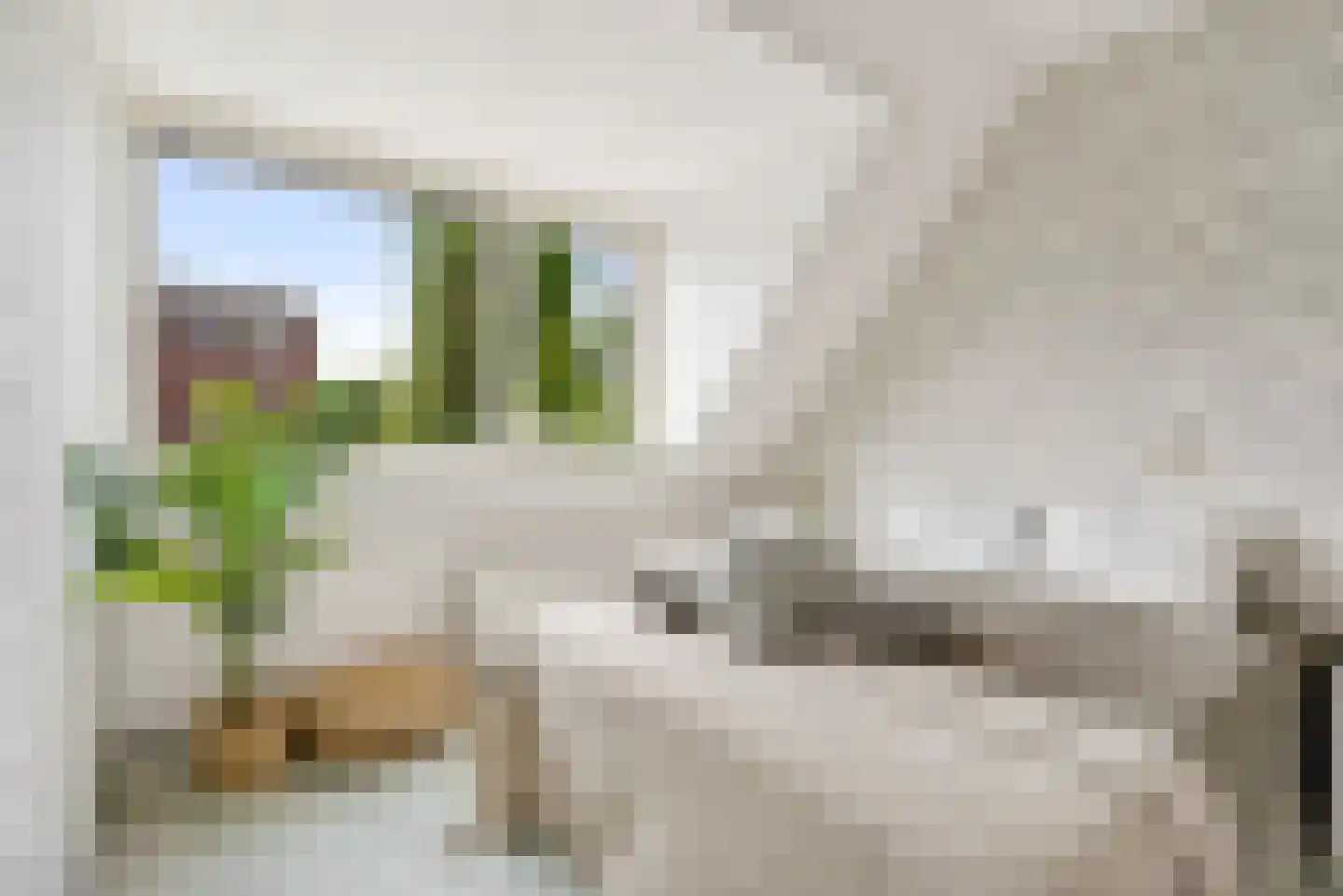 Fakkelgras 3 Houten thumbnail 16