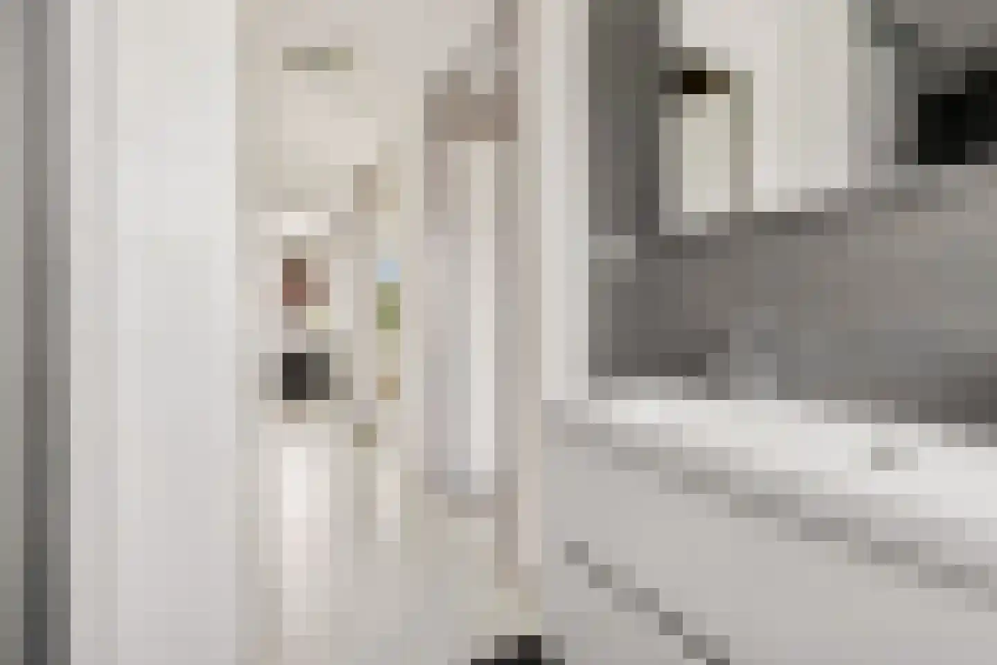 Fakkelgras 3 Houten thumbnail 25