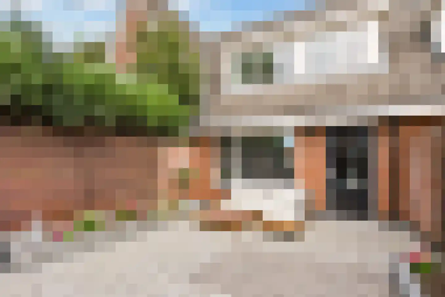 Fakkelgras 3 Houten thumbnail 32