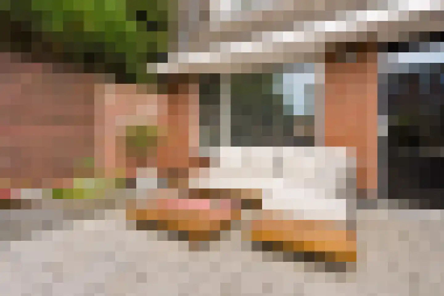 Fakkelgras 3 Houten thumbnail 33