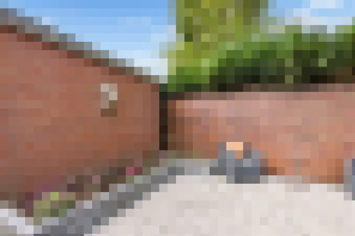 Fakkelgras 3 Houten thumbnail 35