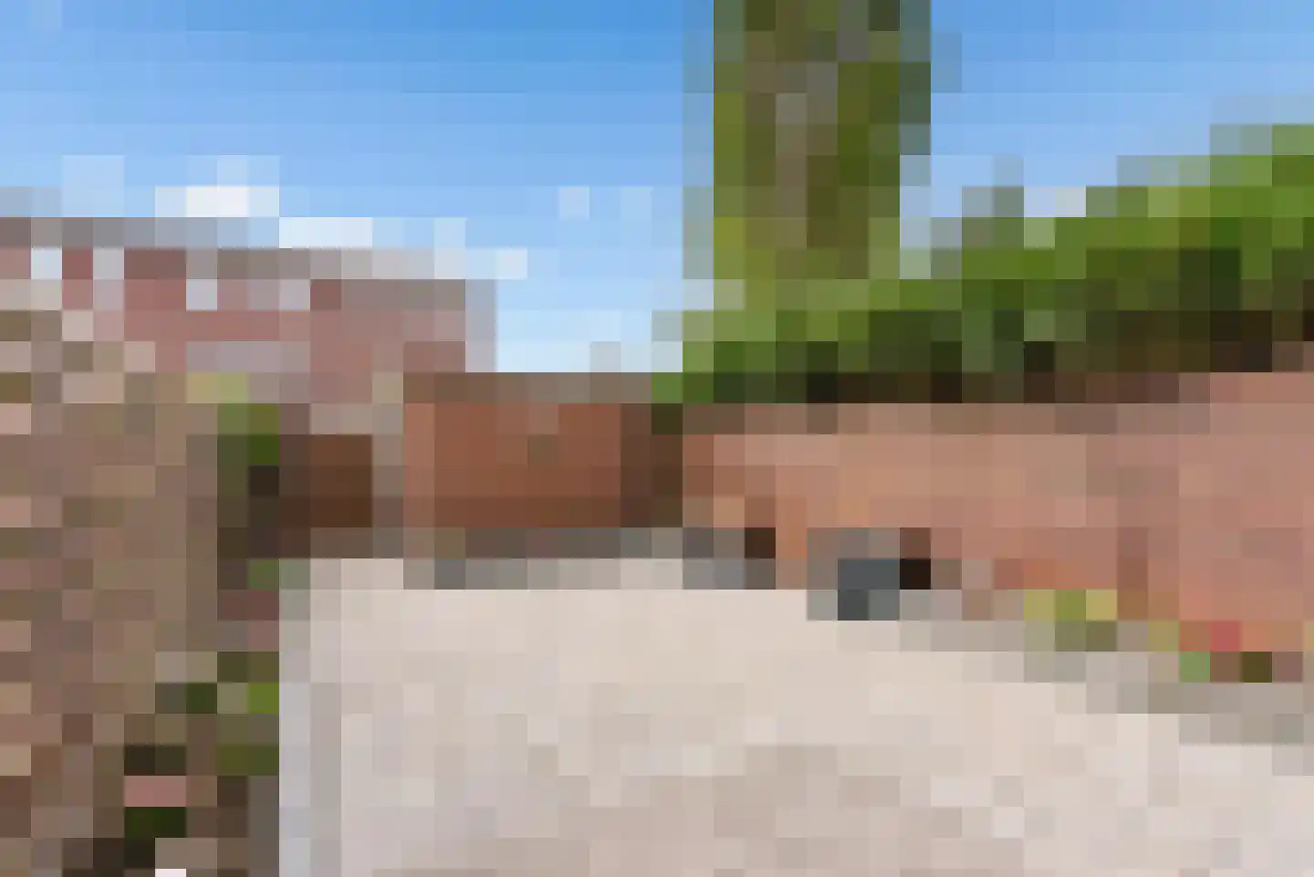 Fakkelgras 3 Houten thumbnail 36