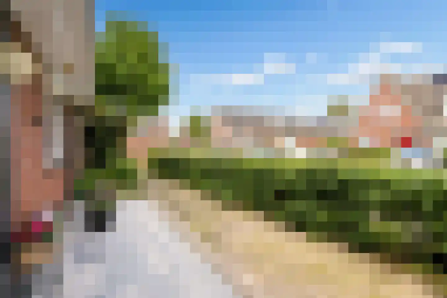 Fakkelgras 3 Houten thumbnail 38