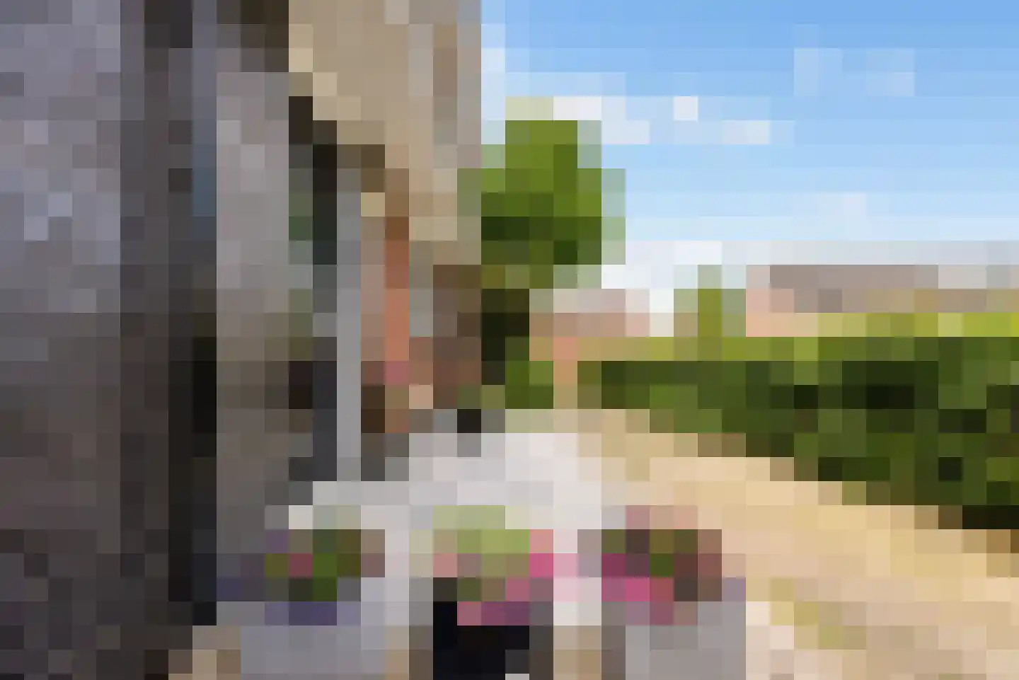 Fakkelgras 3 Houten thumbnail 40