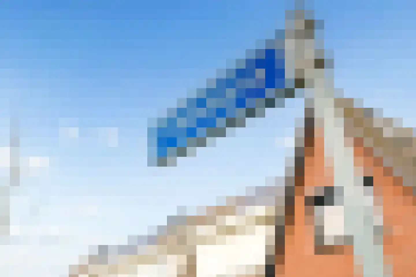Fakkelgras 3 Houten thumbnail 41