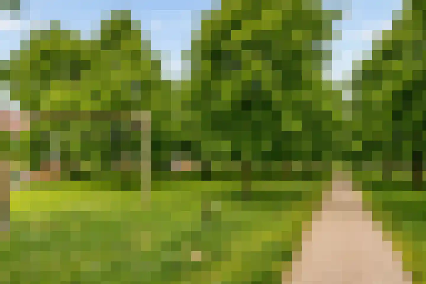 Fakkelgras 3 Houten thumbnail 46