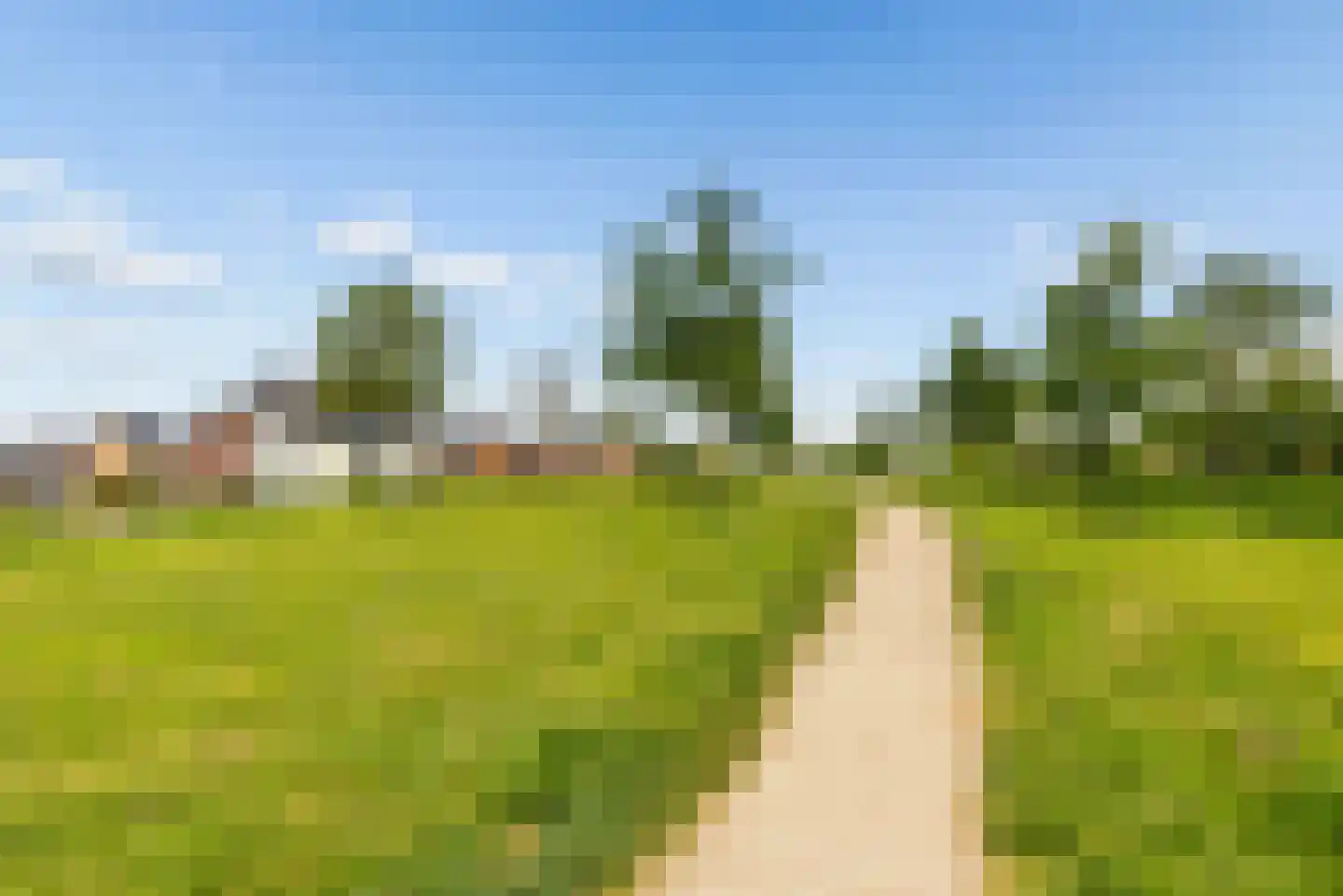Fakkelgras 3 Houten thumbnail 47