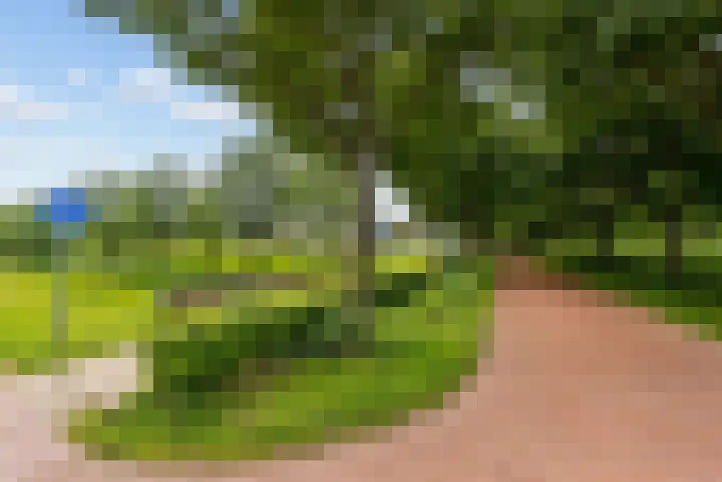 Fakkelgras 3 Houten thumbnail 48
