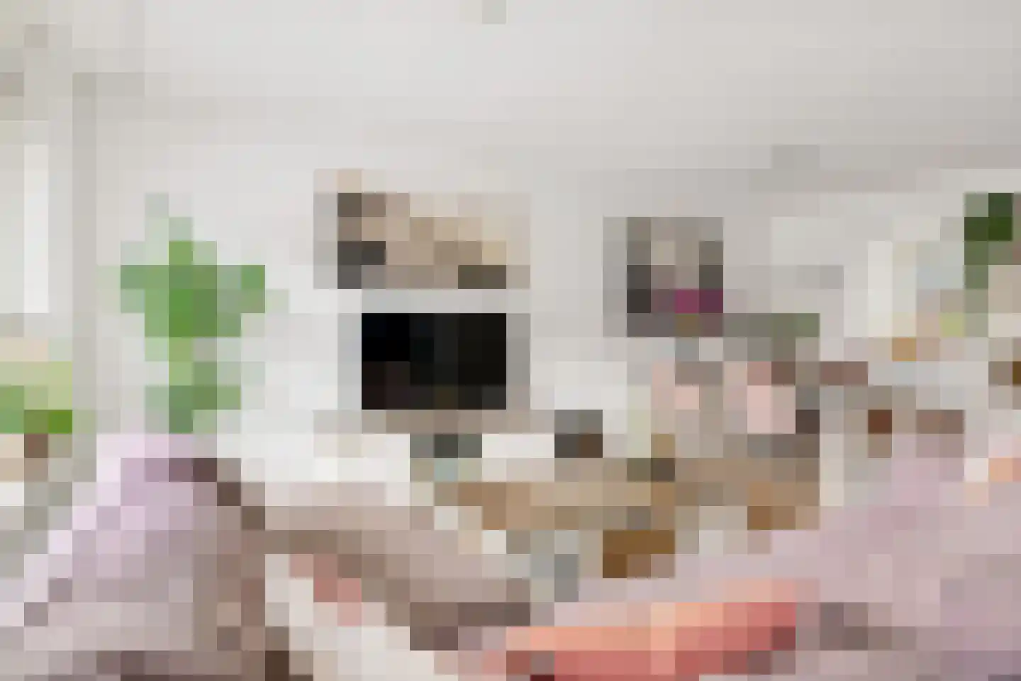 Fakkelgras 3 Houten thumbnail 5